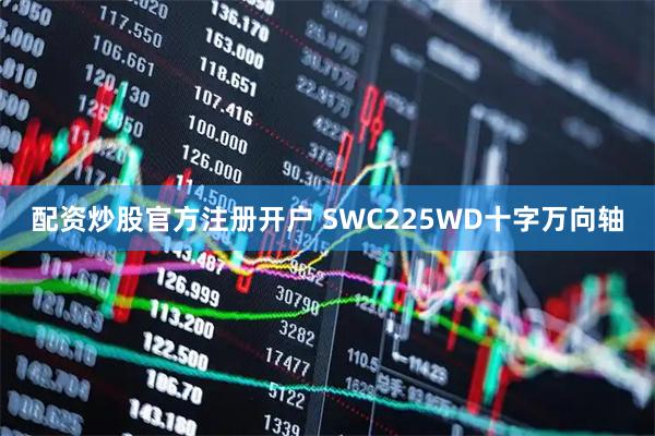 配资炒股官方注册开户 SWC225WD十字万向轴