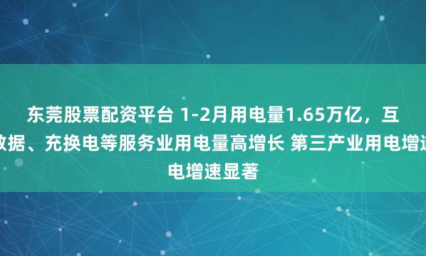 东莞股票配资平台 1-2月用电量1.65万亿，互联网数据、充换电等服务业用电量高增长 第三产业用电增速显著