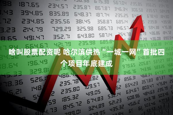 啥叫股票配资呢 哈尔滨供热“一城一网”首批四个项目年底建成